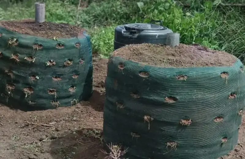 Garden towers growing vegetables at a Kenyan home
